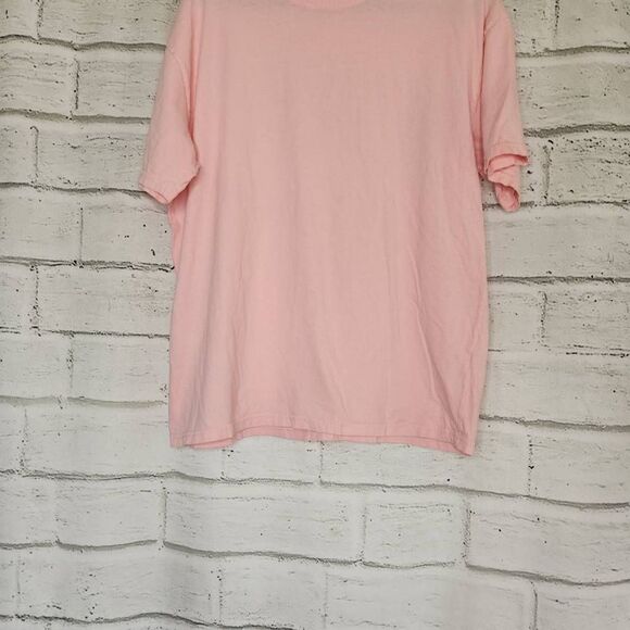 Pacsun PS Basics Cotton Short Sleeve Classic Plain T Shirt Pink Size Medium - Picture 4 of 12